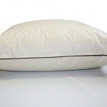 Kapok kussen